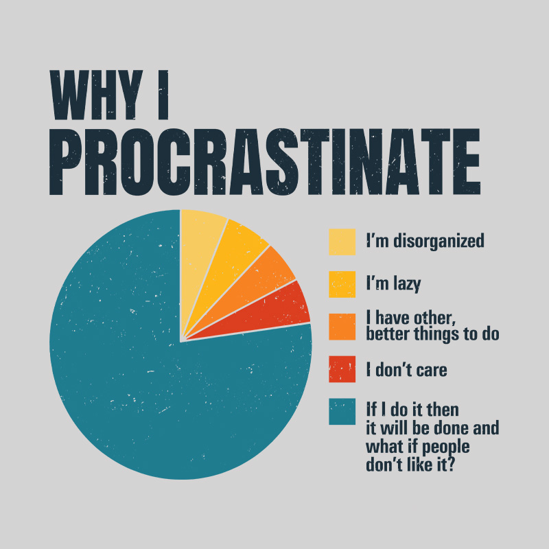 Why I Procrastinate Geek T-Shirt