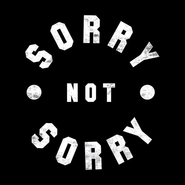 Sorry Not Sorry Geek T-Shirt