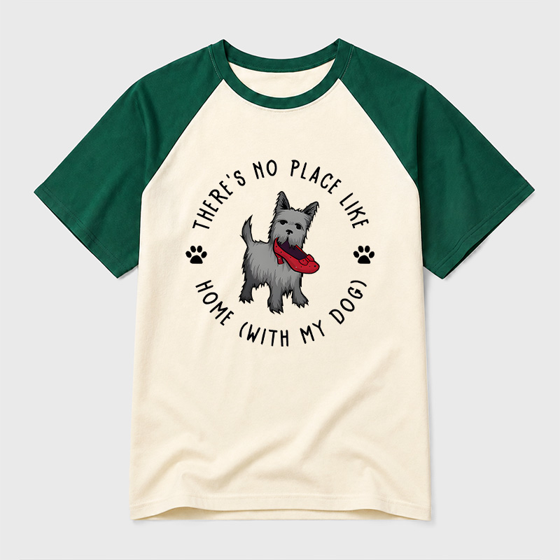 Home With My Dog Geek Retro Raglan T-Shirt