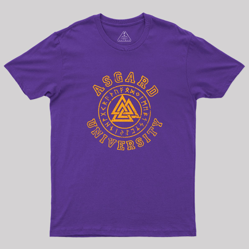 Asgardian Academy Geek T-Shirt