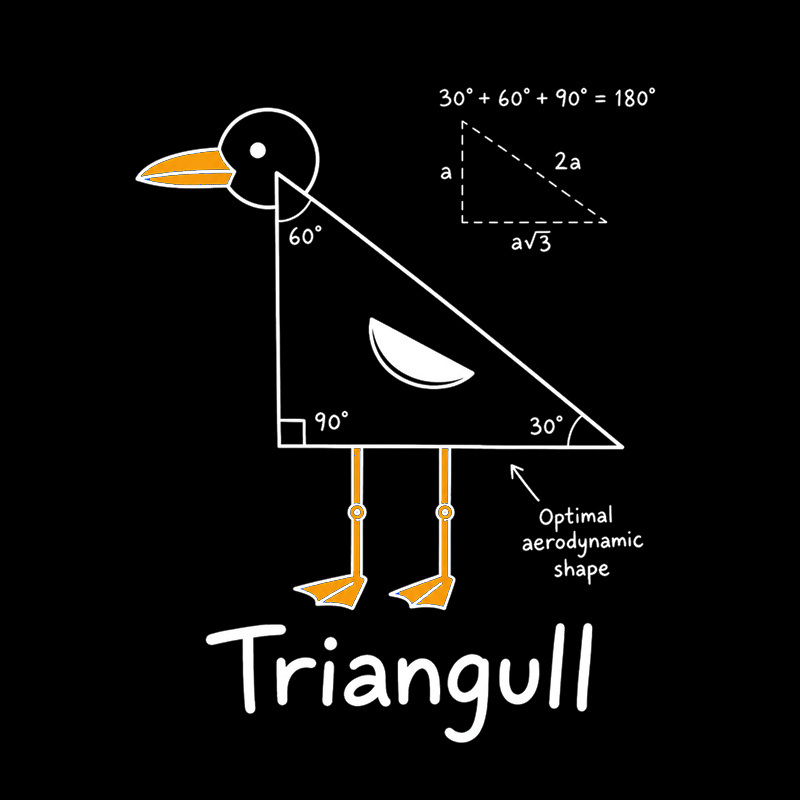 Triangull Geometry Seagull Geek T-Shirt