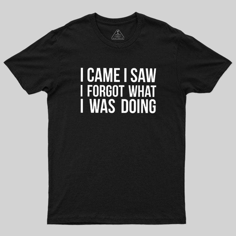 Geeksoutfit I Came I Saw I Forgot What I Was Doing Humor Joke Quote Gee