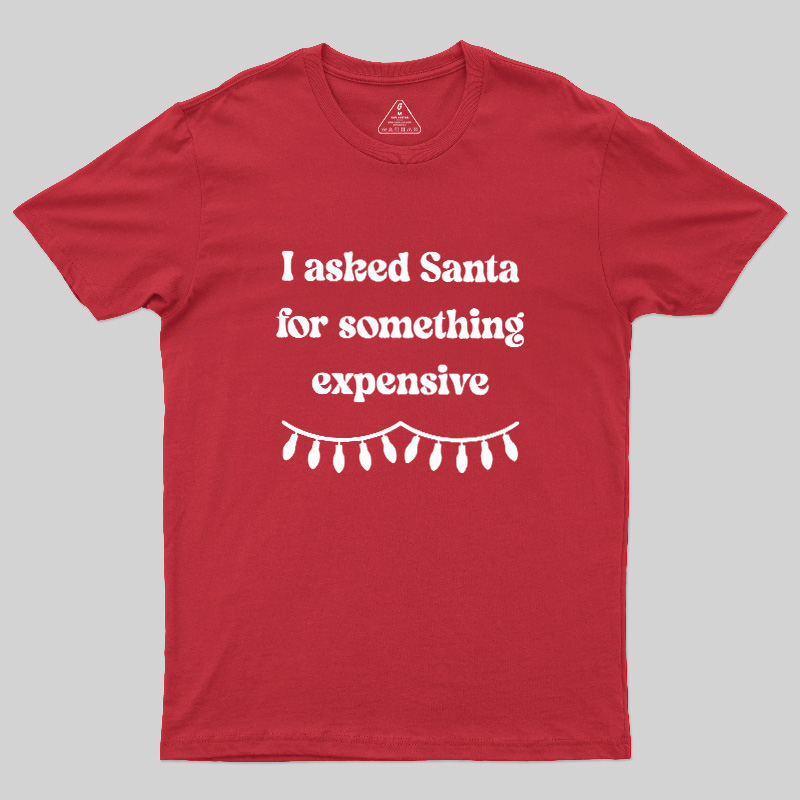 I Asked Santa For Something Expensive Geek T-Shirt
