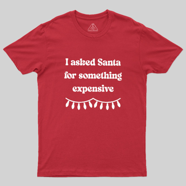I Asked Santa For Something Expensive Geek T-Shirt