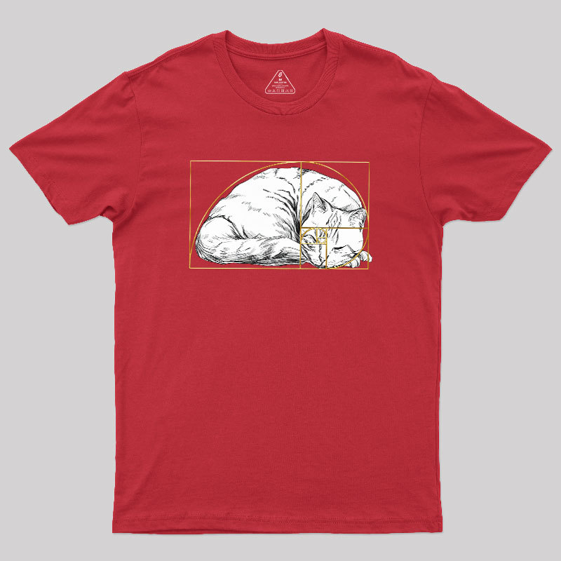 Perfect Ratio Geek T-Shirt