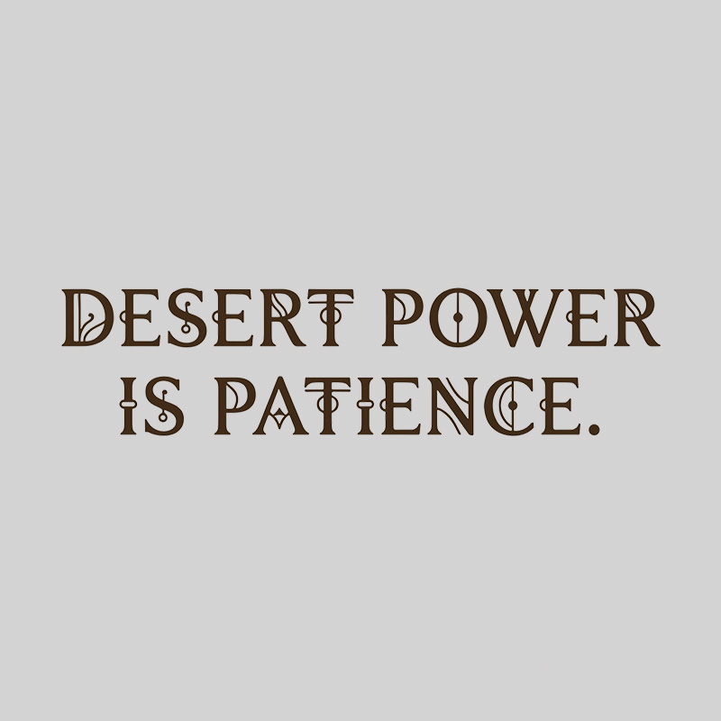 Desert Power Is Patience Geek T-Shirt