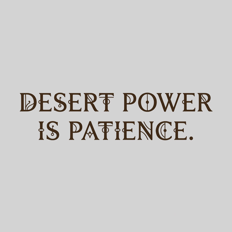 Desert Power Is Patience Geek T-Shirt