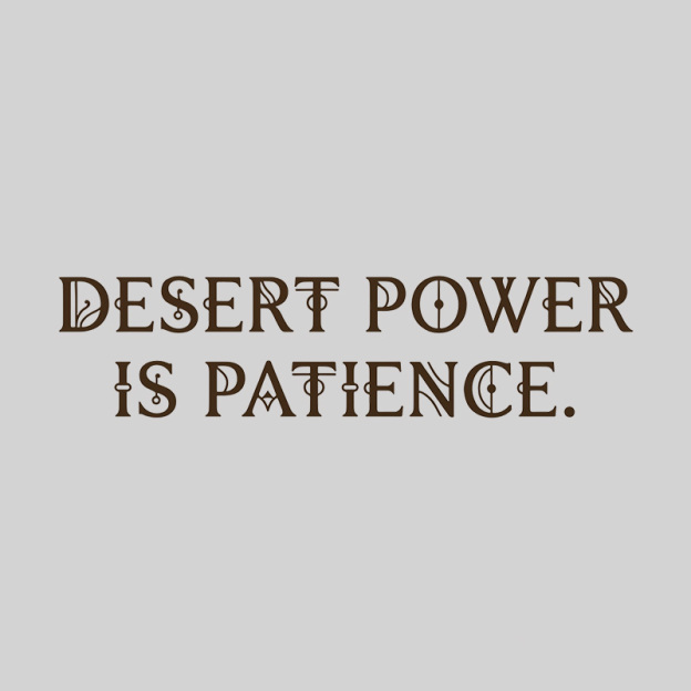 Desert Power Is Patience Geek T-Shirt