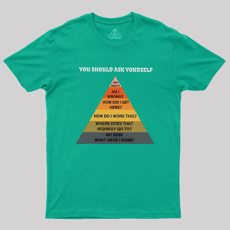 You Should Ask Yourself Geek T-Shirt
