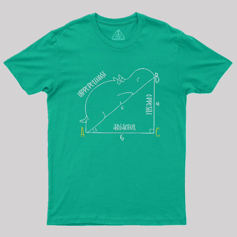 Interesting Math Geek T-Shirt