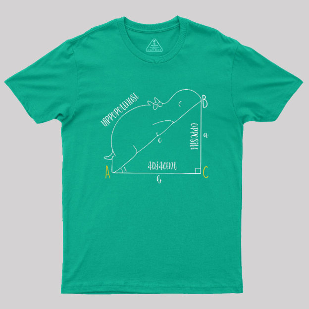 Interesting Math Geek T-Shirt