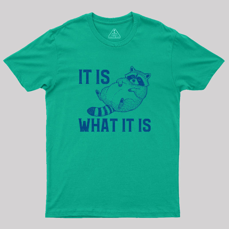 This Is What It Is Geek T-Shirt