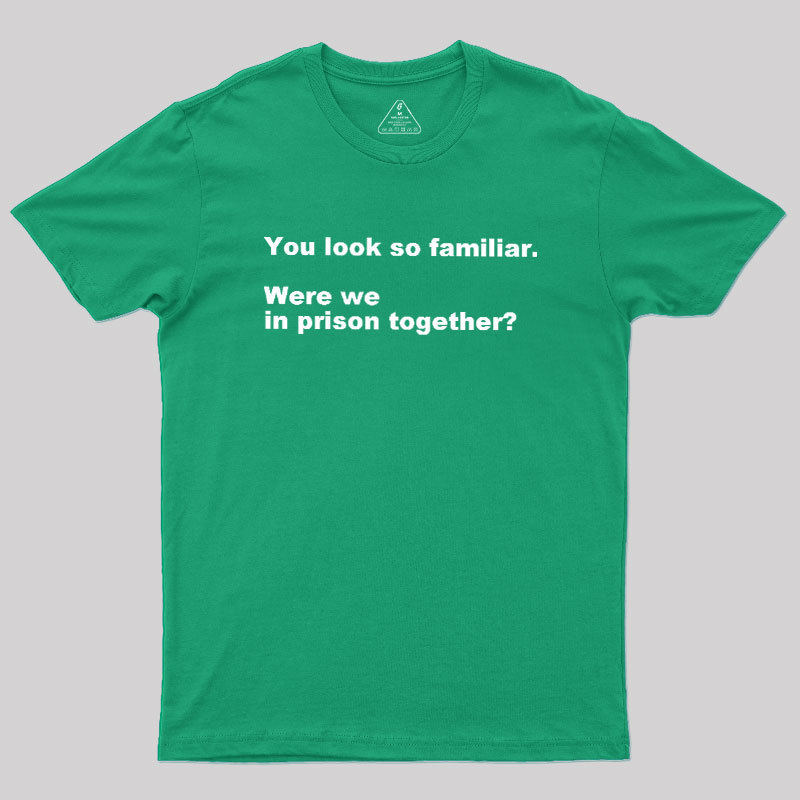 Were We in Prison Together Geek T-Shirt