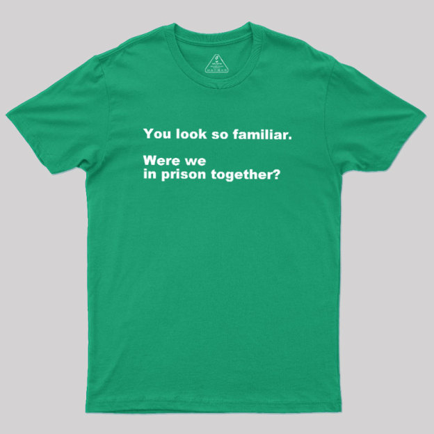 Were We in Prison Together Geek T-Shirt