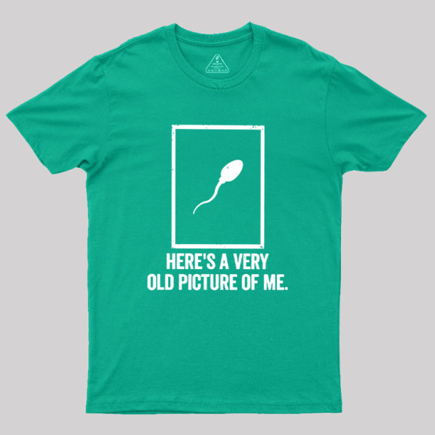 Here's A Very Old Picture Of Me Geek T-Shirt