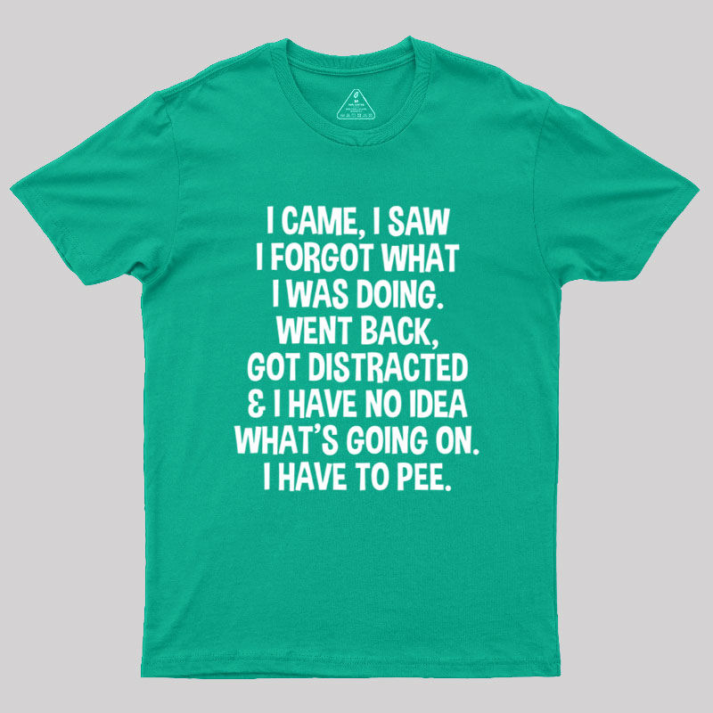 I Came I Saw I Forgot What I Was Doing Geek T-Shirt