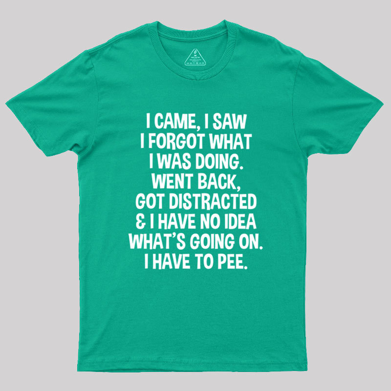 I Came I Saw I Forgot What I Was Doing Geek T-Shirt