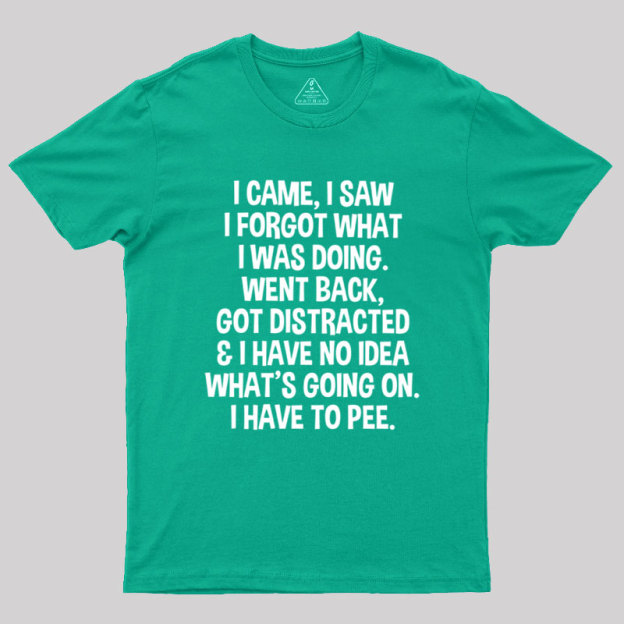 I Came I Saw I Forgot What I Was Doing Geek T-Shirt