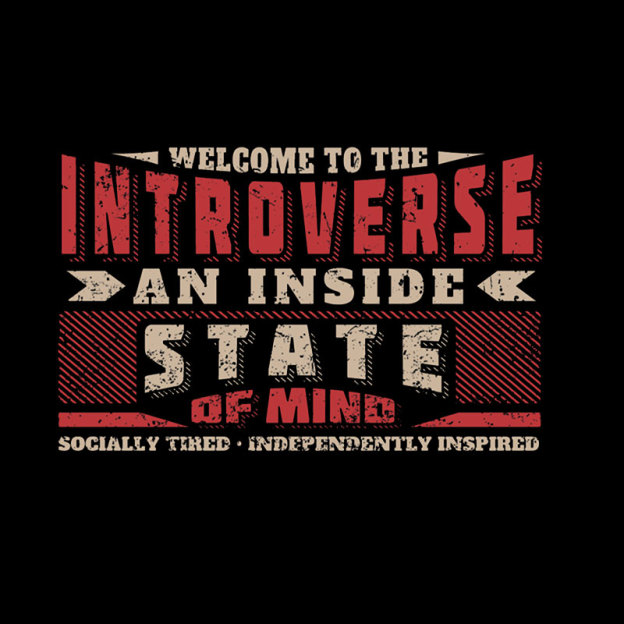 Welcome to the Introverse Geek T-Shirt