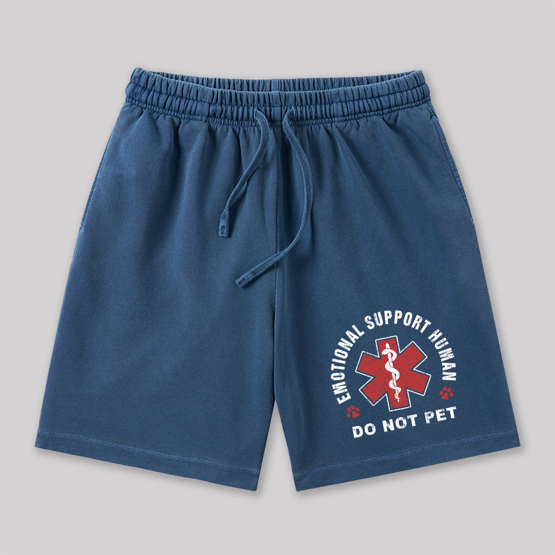 Emotional Support Geeky Washed Shorts