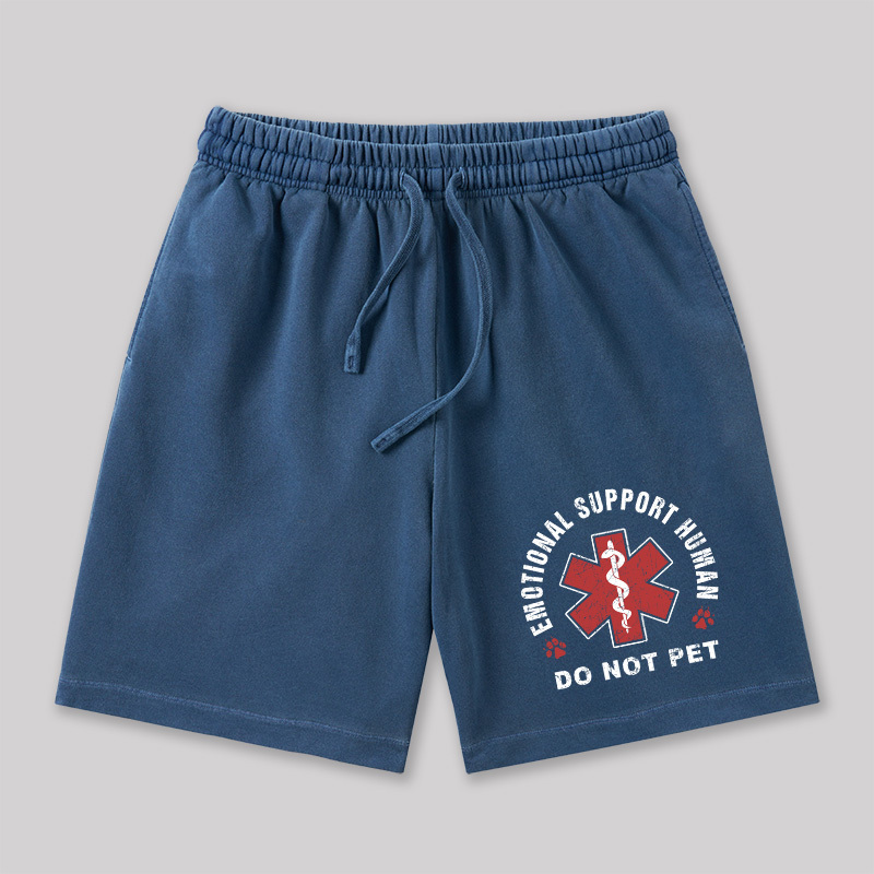 Emotional Support Geeky Washed Shorts