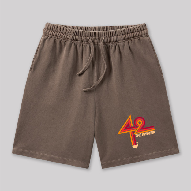 42 The Ultimate Answer Geeky Washed Shorts