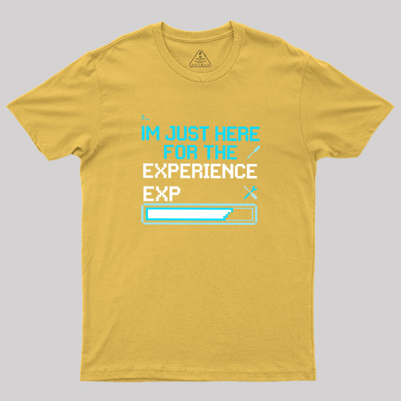 Leveling Up IRL Geek T-Shirt