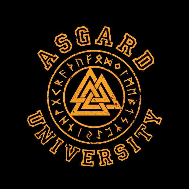 Asgardian Academy Geek T-Shirt