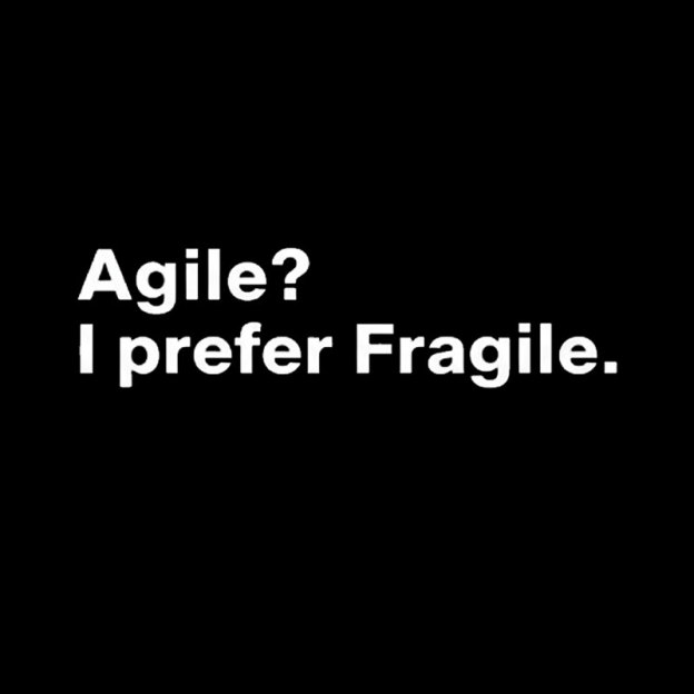 Agile I Prefer Fragile Geek T-Shirt