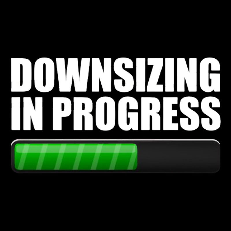 Downsizing In Progress Geek T-Shirt