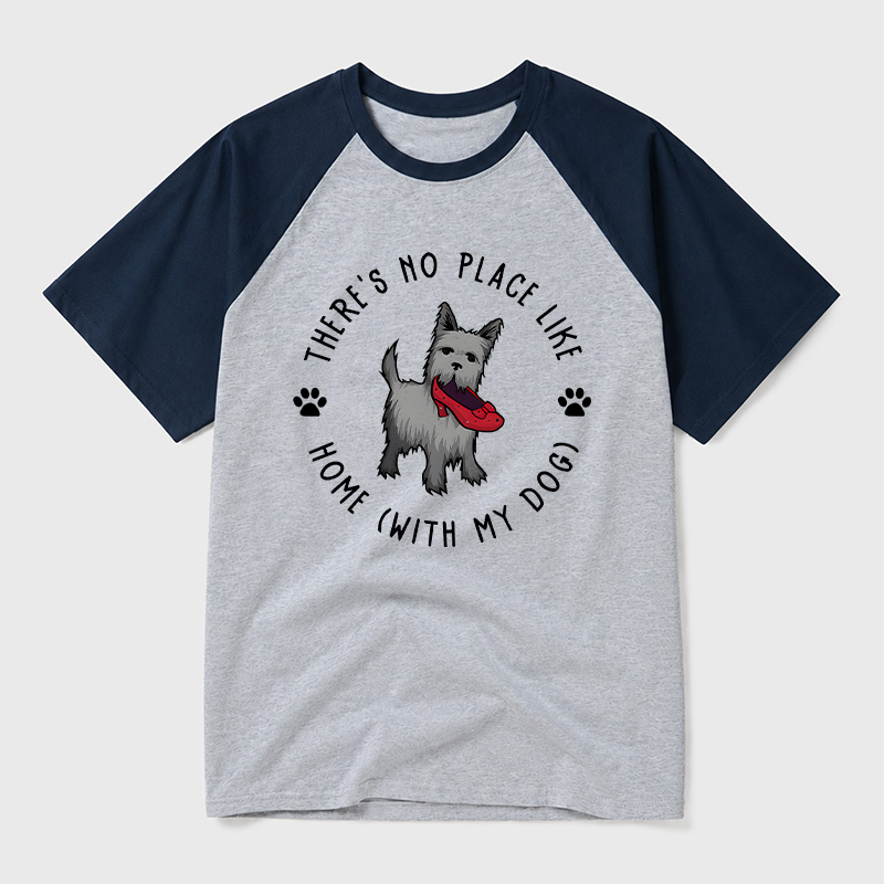 Home With My Dog Geek Retro Raglan T-Shirt