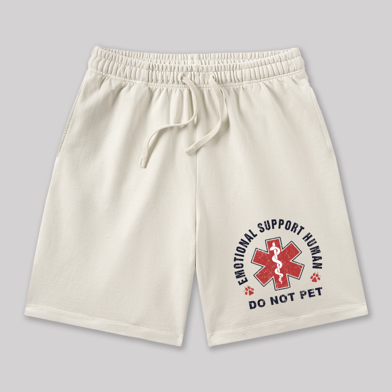 Emotional Support Geeky Washed Shorts