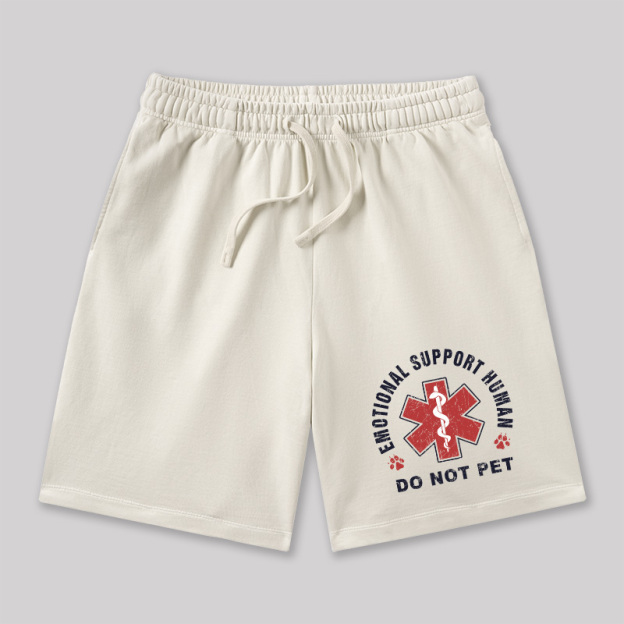 Emotional Support Geeky Washed Shorts