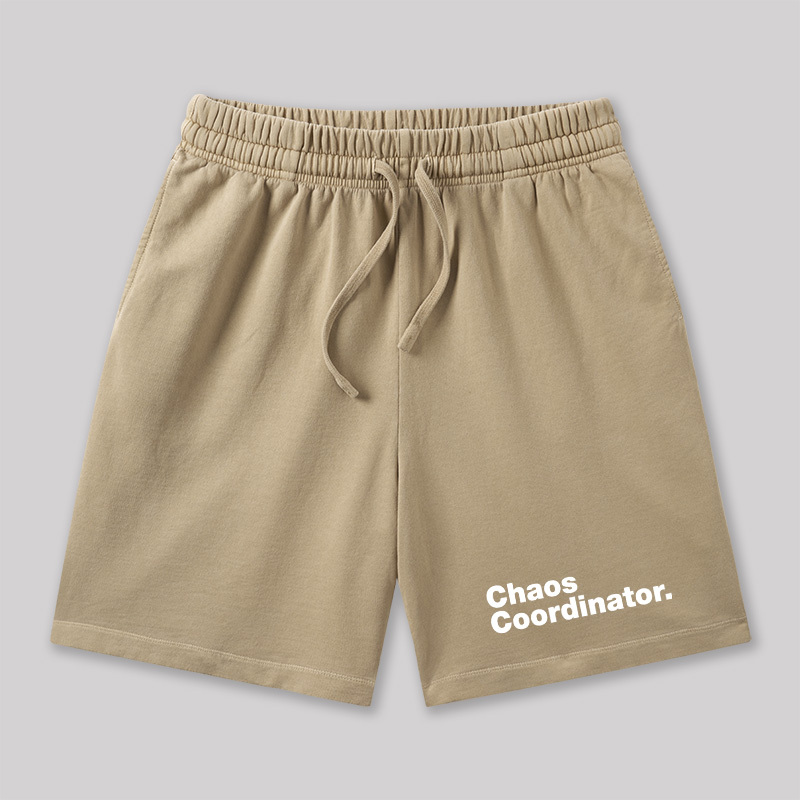 Chaos Coordinator Geeky Washed Shorts