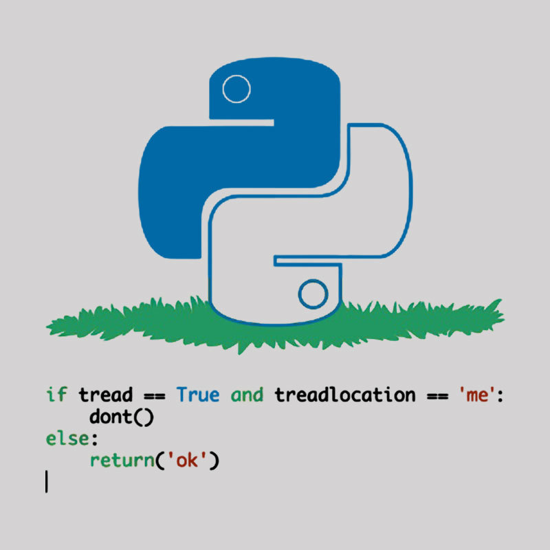 Python Dont Tread On Me Code Pun Geek T-Shirt