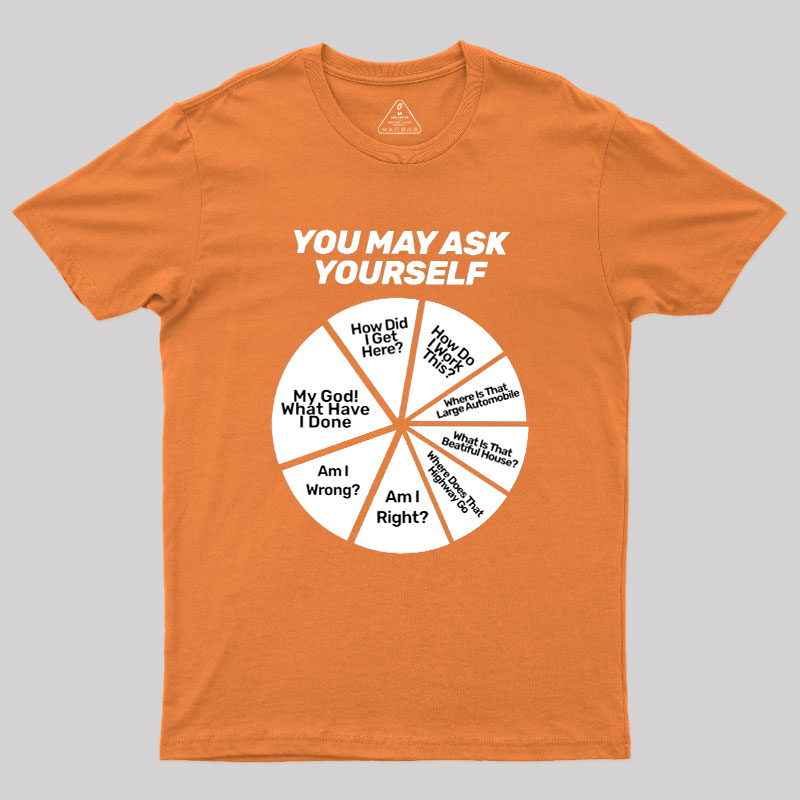 You May Ask Yourself Geek T-Shirt