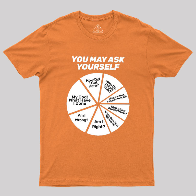 You May Ask Yourself Geek T-Shirt