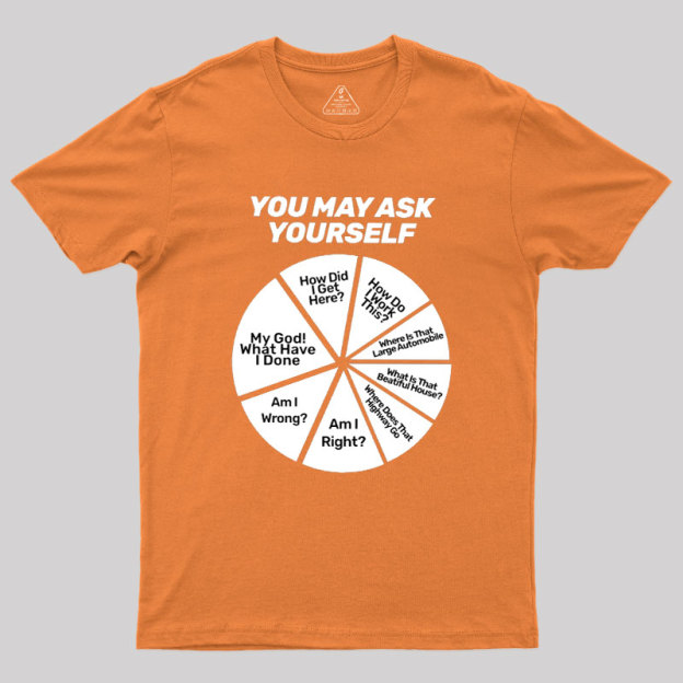 You May Ask Yourself Geek T-Shirt