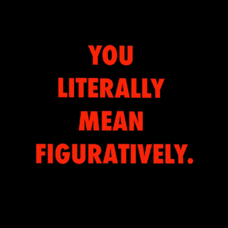 Grammar Police Literally vs. Figuratively T-Shirt