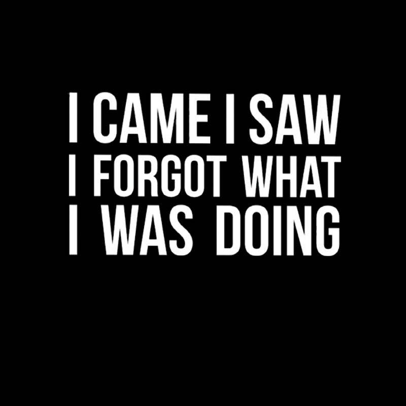 I Came I Saw I Forgot What I Was Doing Humor Joke Quote Geek T-Shirt