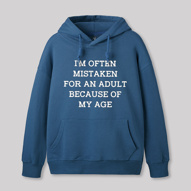Mistaken For An Adult Geek Hoodie