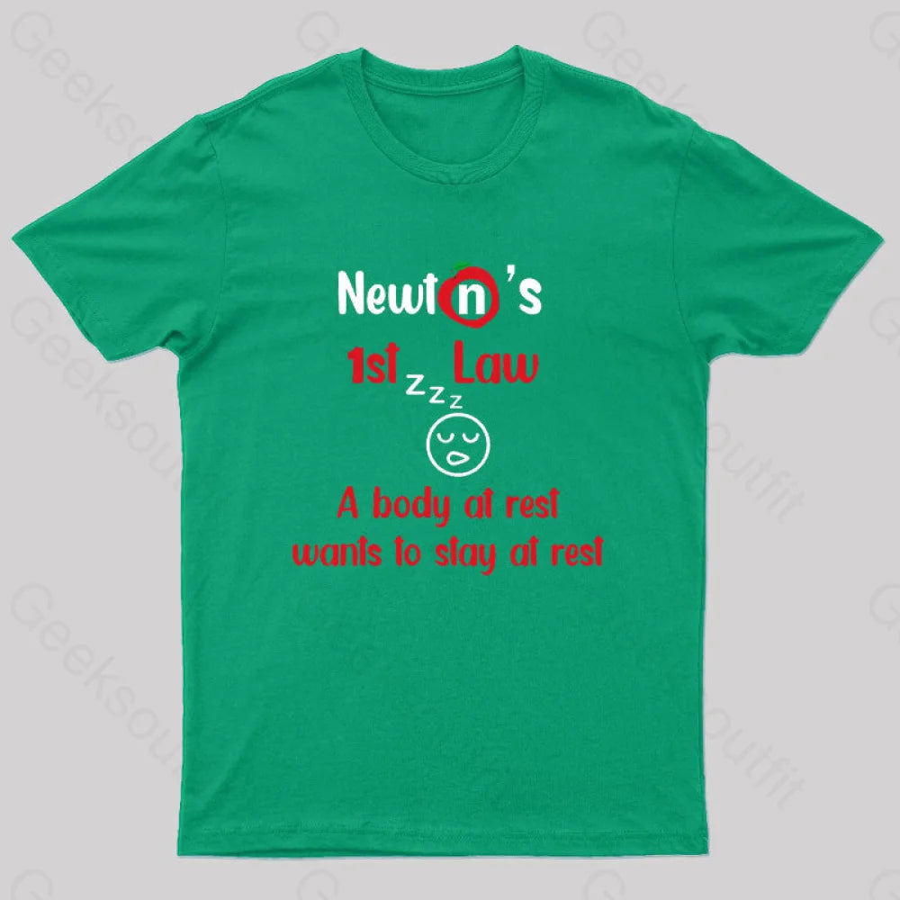A Body At Rest Wants To Stay Geek T-Shirt Green / S