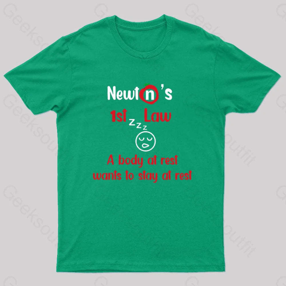 A Body At Rest Wants To Stay Geek T-Shirt Green / S