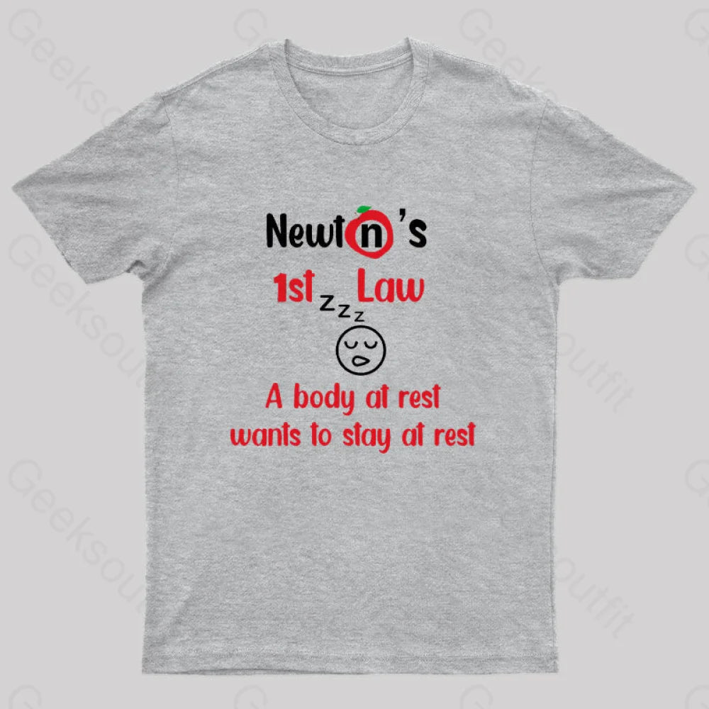 A Body At Rest Wants To Stay Geek T-Shirt Grey / S