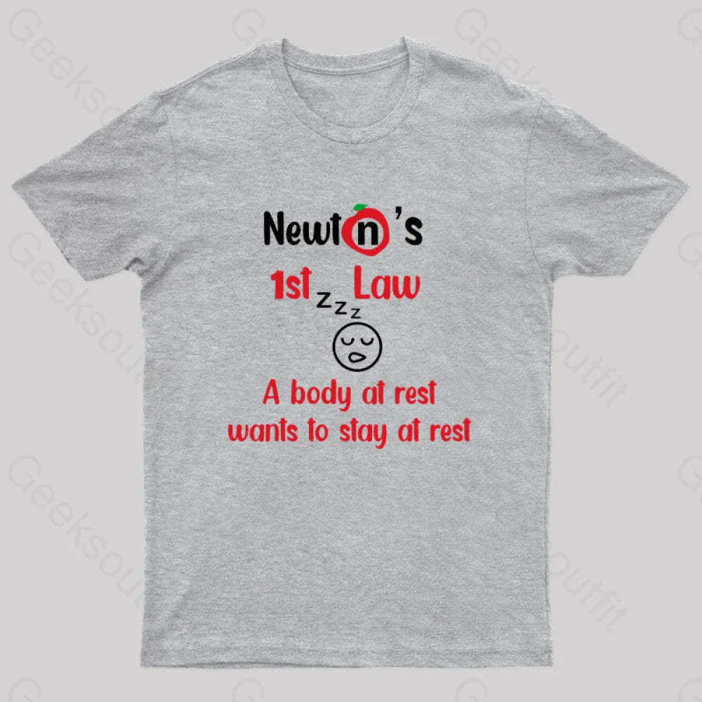 A Body At Rest Wants To Stay Geek T-Shirt Grey / S