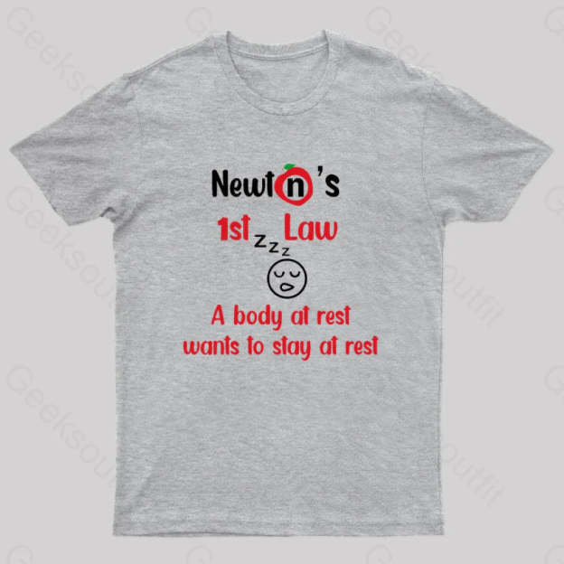 A Body At Rest Wants To Stay Geek T-Shirt Grey / S