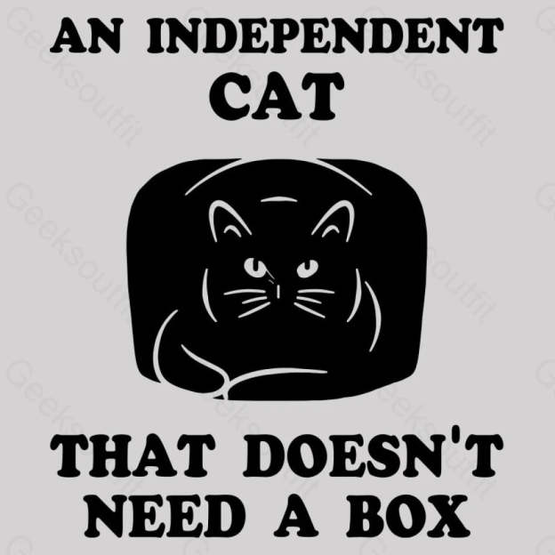 A Independent Cat That Doesn’t Need Box T-Shirt Yc