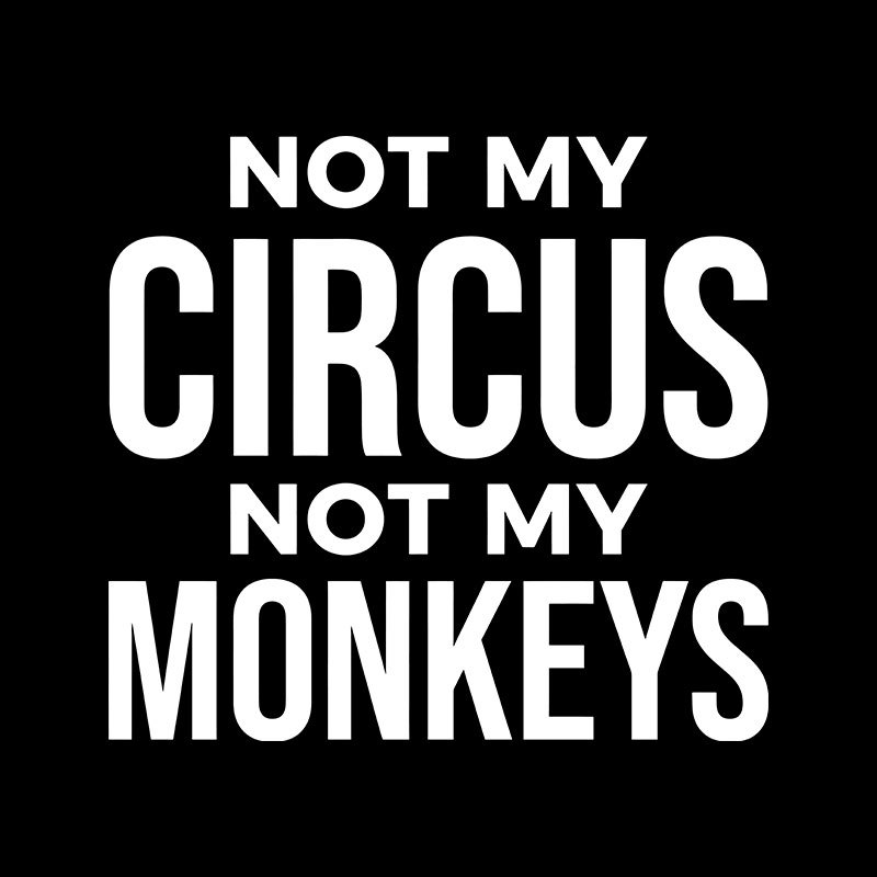 Not My Monkeys Geek T-Shirt