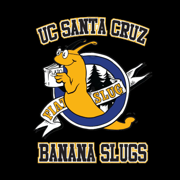 UC Santa Cruz Banana Slugs Geek T-Shirt