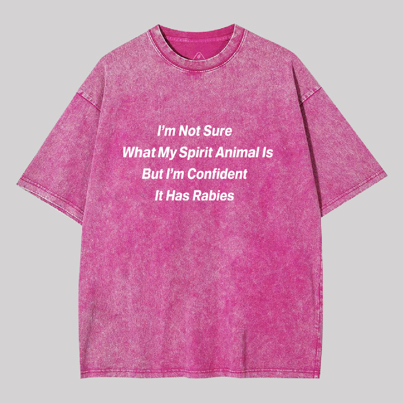 Im Not Sure What My Spirit Animal Is Geek Washed T-shirt